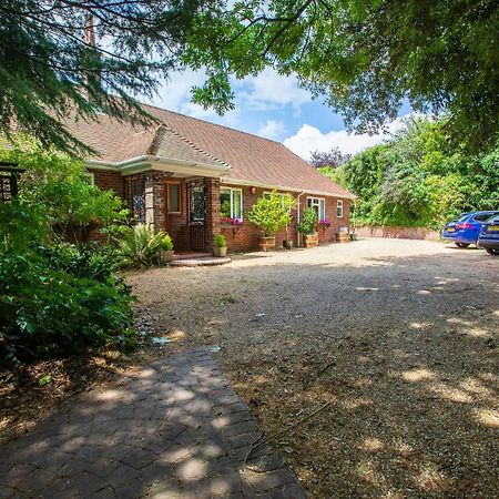 Cosy Annex, Close To Beach With Parking Torquay Extérieur photo
